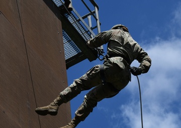 Rappelling Tower Training