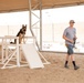 Military working dog obedience training