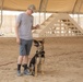 Military working dog obedience training