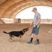 Military working dog obedience training