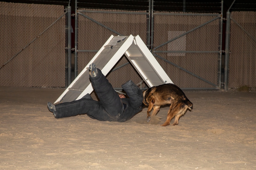 Bite suit training with military working dogs