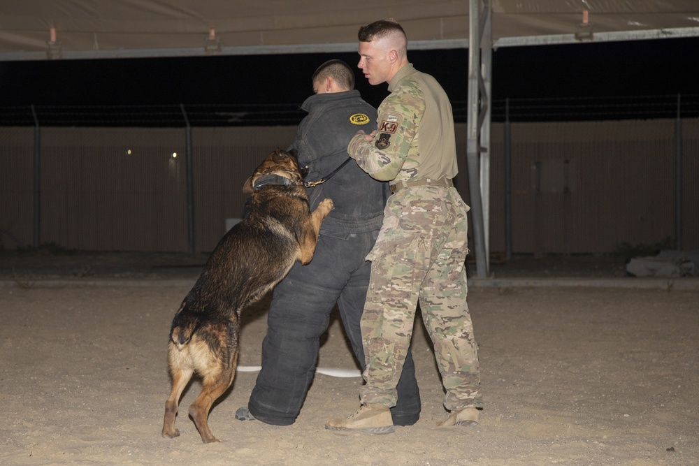 Bite suit training with military working dogs