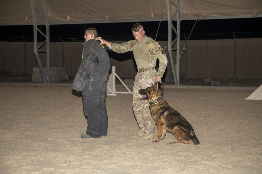 Bite suit training with military working dogs