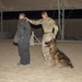 Bite suit training with military working dogs