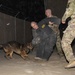 Bite suit training with military working dogs