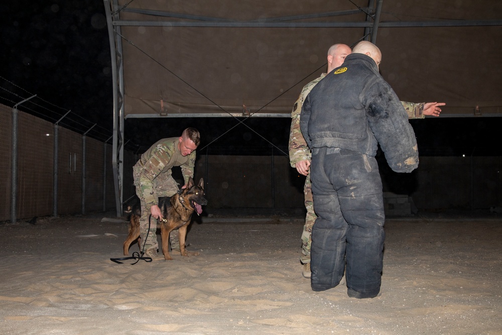 Bite suit training with military working dogs