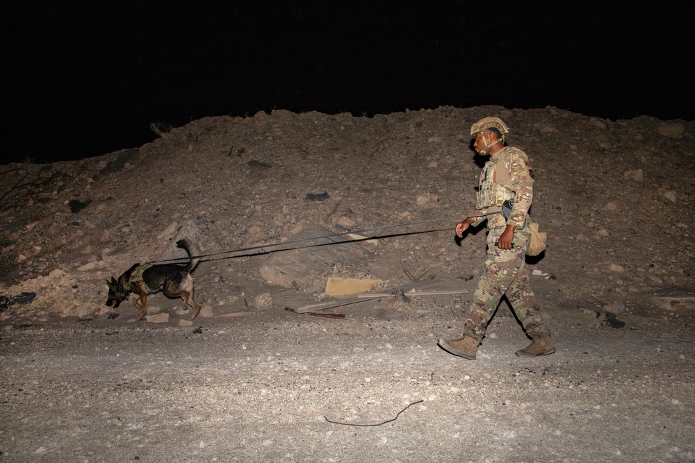 Route clearance training with military working dogs