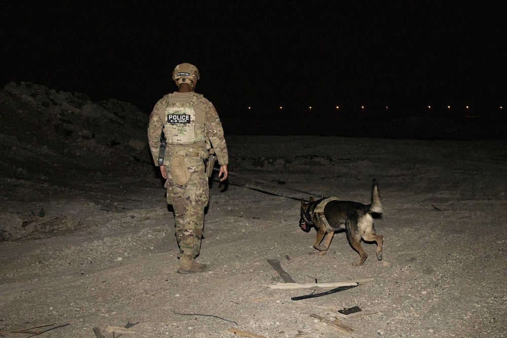 Route clearance training with military working dogs