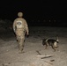 Route clearance training with military working dogs