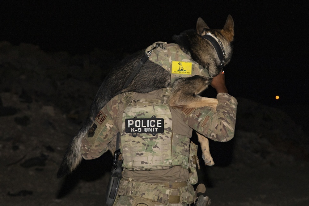 Route clearance training with military working dogs