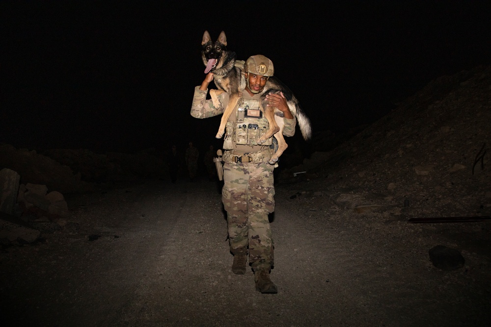 Route clearance training with military working dogs