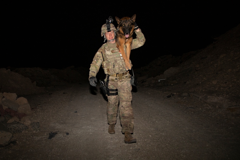 Route clearance training with military working dogs