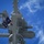 USS Theodore Roosevelt (CVN 71)