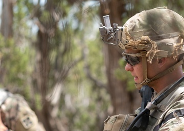 4-9 IN battalion squad situational training exercise