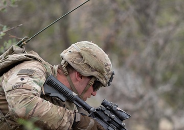 4-9 IN battalion squad situational training exercise