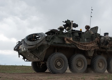 4-9 IN battalion squad situational training exercise