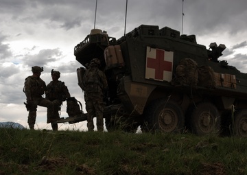 4-9 IN battalion squad situational training exercise