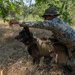 15th MEU MWD tracks down a simulated enemy