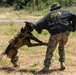 15th MEU MWD tracks down simulated enemy
