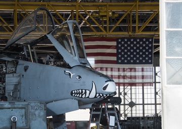 A-10 Photo