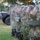 Task Force Magnolia Supports Civil Authorities in D.C.