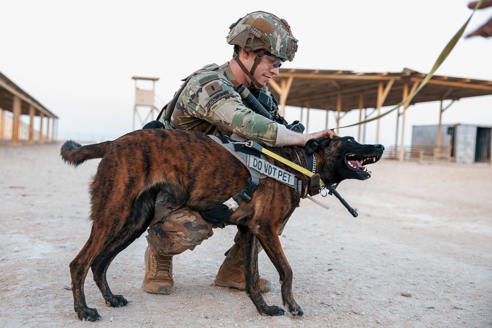 Military Working Dogs wear protective equipment for live fire exercise