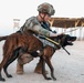 Military Working Dogs wear protective equipment for live fire exercise