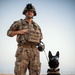 Military Working Dogs wear protective equipment for live fire exercise