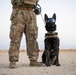 Military Working Dogs wear protective equipment for live fire exercise