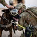 Military Working Dogs wear protective equipment for live fire exercise