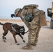 Military Working Dogs wear protective equipment for live fire exercise