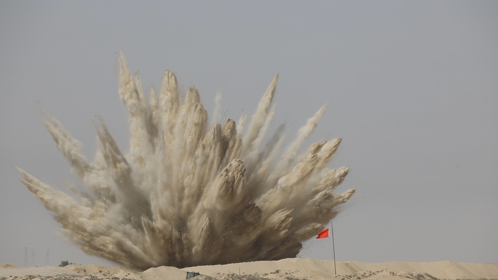 Joint Explosive Ordnance Disposal Operation