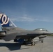 MLB Nationals logo painted as F-16 tail flash