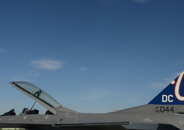 Nationals logo painted as tail flash