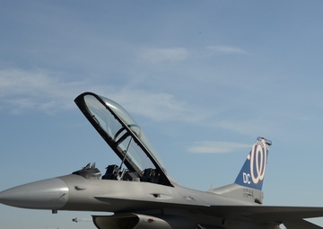MLB Nats logo painted as tail flash