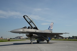 MLB Nats logo painted as F-16 tail flash