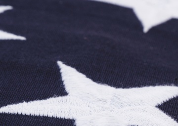 Memorial Day Flyover