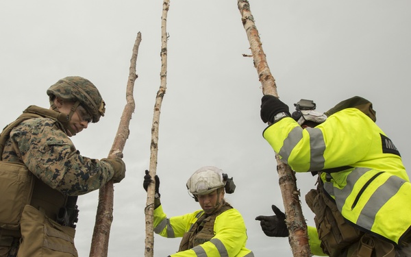 2nd LE BN trains with Norwegian Counterparts
