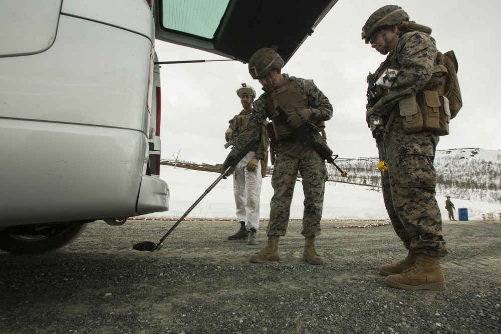 2nd LE BN trains with Norwegian Counterparts