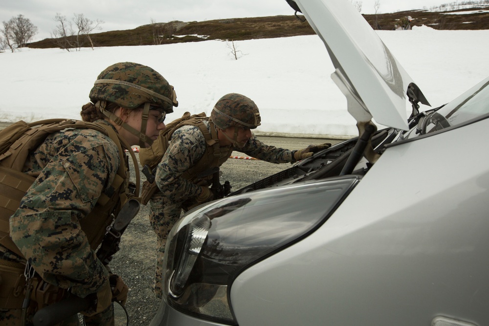 2nd LE BN trains with Norwegian Counterparts