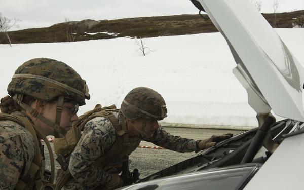 2nd LE BN trains with Norwegian Counterparts