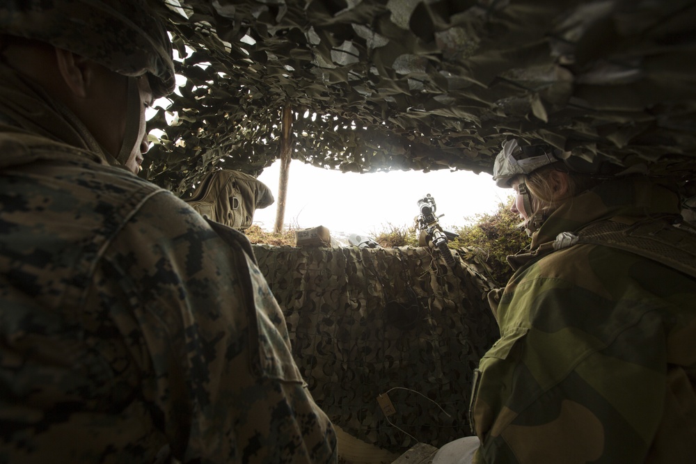 2nd LE BN trains with Norwegian Counterparts