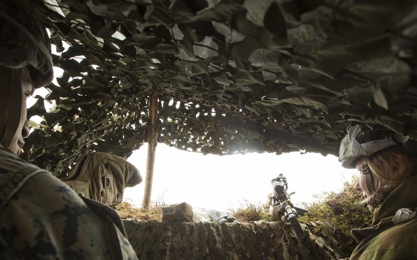 2nd LE BN trains with Norwegian Counterparts