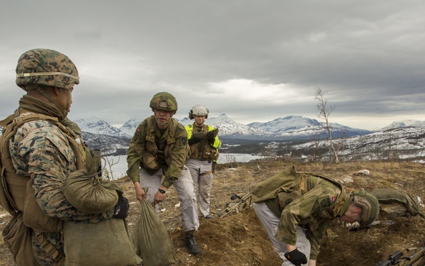 2nd LE BN trains with Norwegian Counterparts