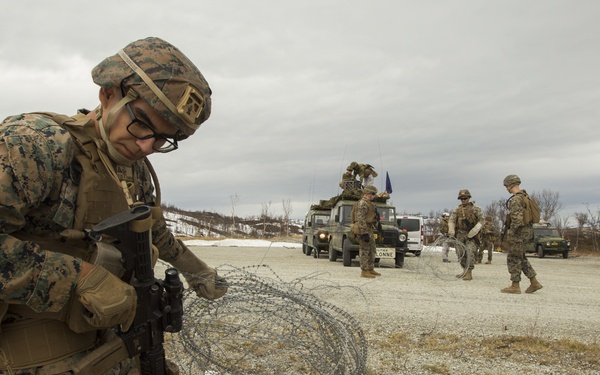 2nd LE BN trains with Norwegian Counterparts