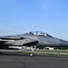 104th Fighter Wing Commander has F15 incentive flight