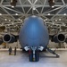 C-17 Nose