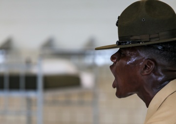 Fox Company Black Friday