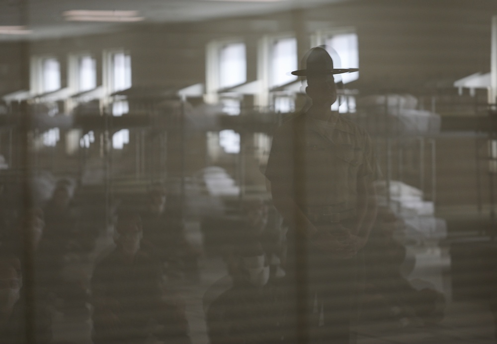 Fox Company Black Friday