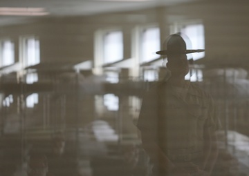 Fox Company Black Friday